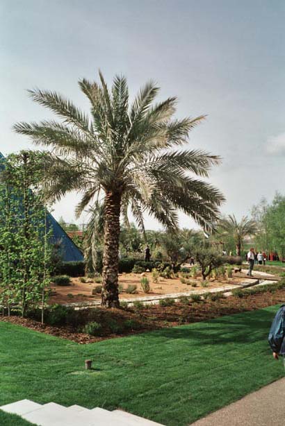 igahro47.jpg - 57067 Bytes